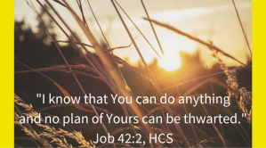 I know that You can do anything and no plan